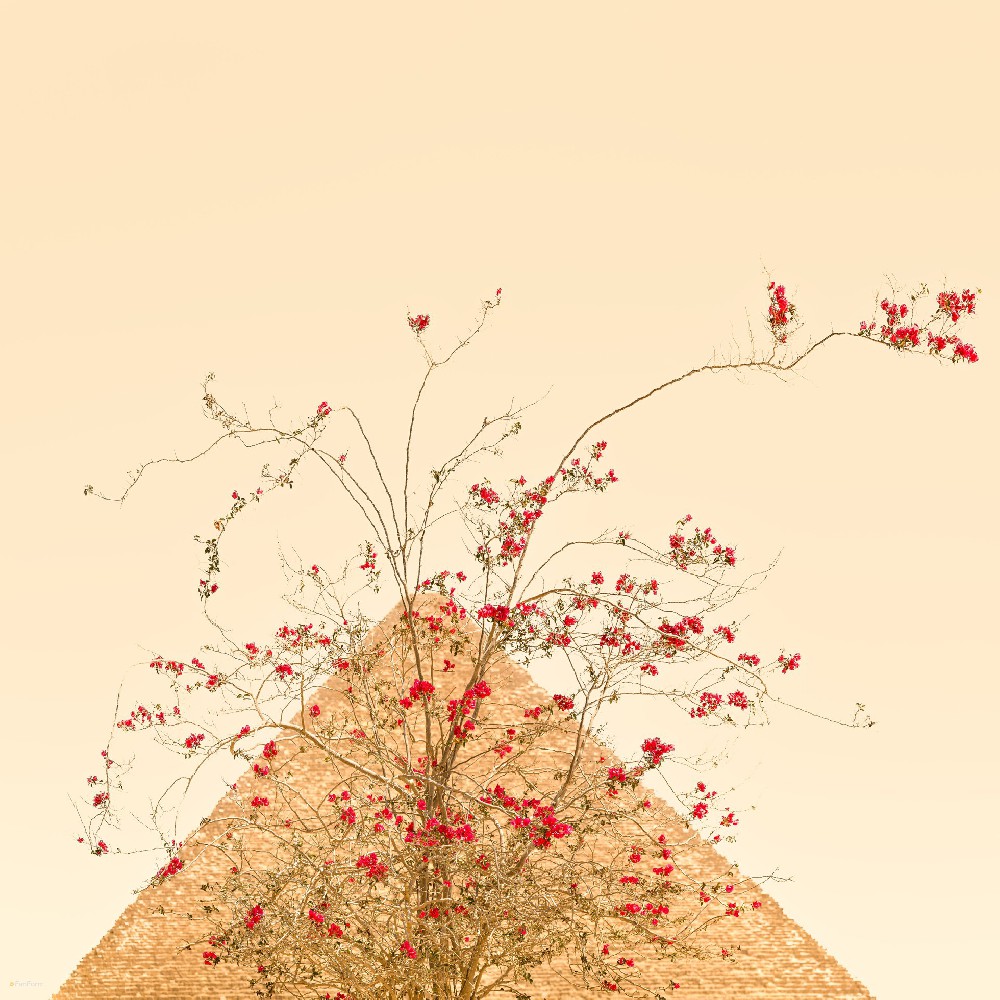 Pyramid Landscape by Li Fan